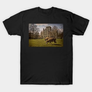 Church of St Cross Hospital T-Shirt